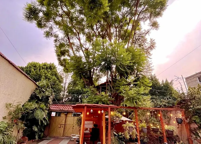 Casita Del Arbol Mexico City