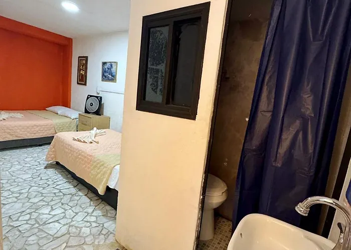 Casita Del Arbol Homestay Mexico City