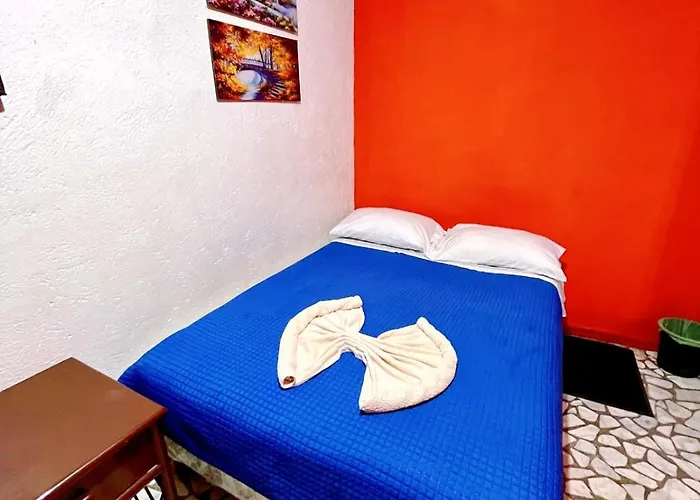 Casita Del Arbol Homestay
