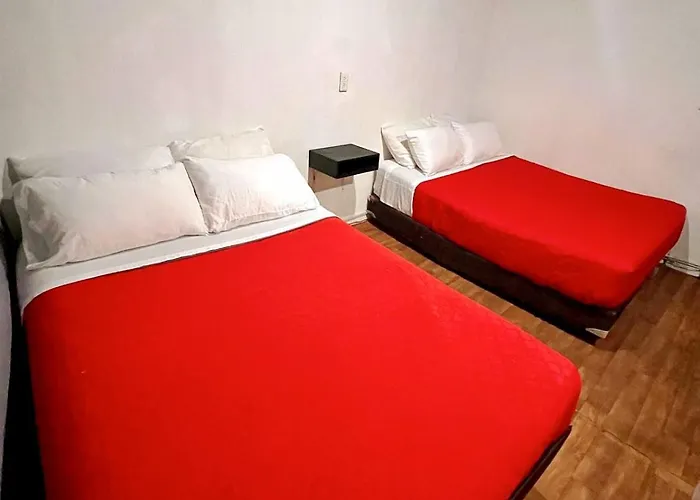 Casita Del Arbol Homestay Mexico City