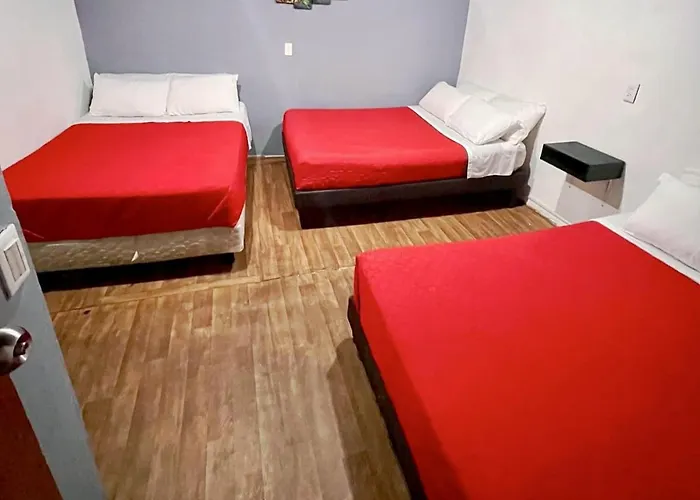 Casita Del Arbol *