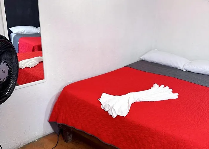 Casita Del Arbol Homestay