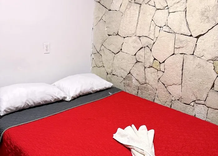 Casita Del Arbol Homestay Mexico City