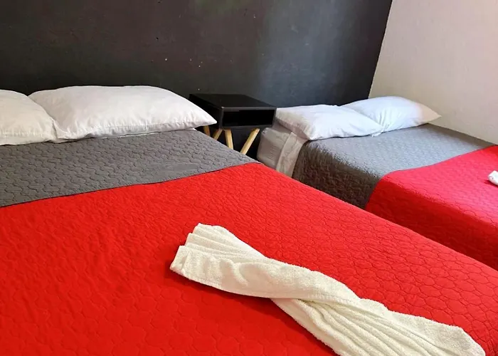 Homestay Casita Del Arbol Mexico City