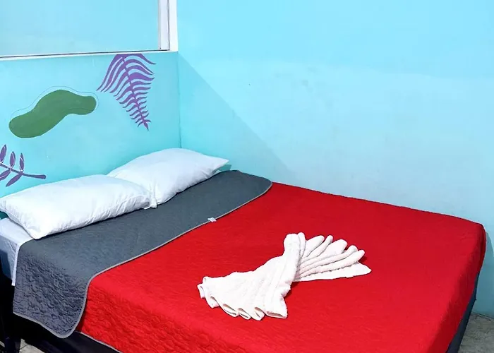 Homestay Casita Del Arbol