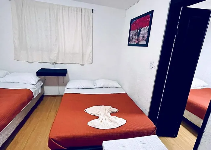 Casita Del Arbol Homestay Mexico City