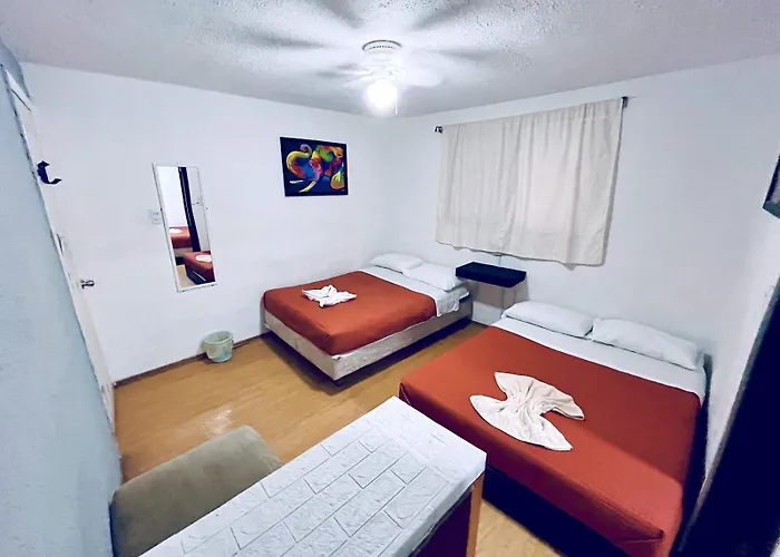 Homestay Casita Del Arbol Mexico City