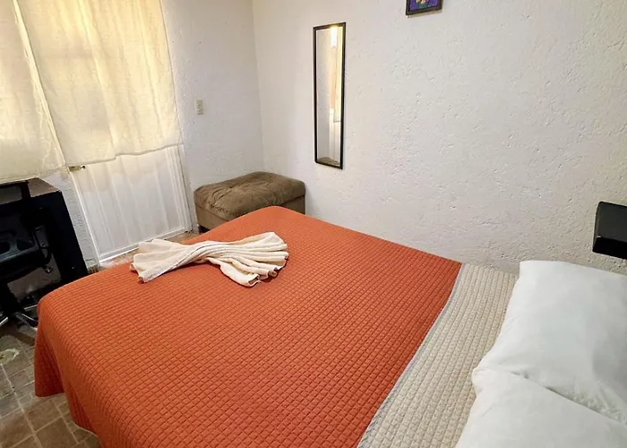 Casita Del Arbol Homestay Mexico City