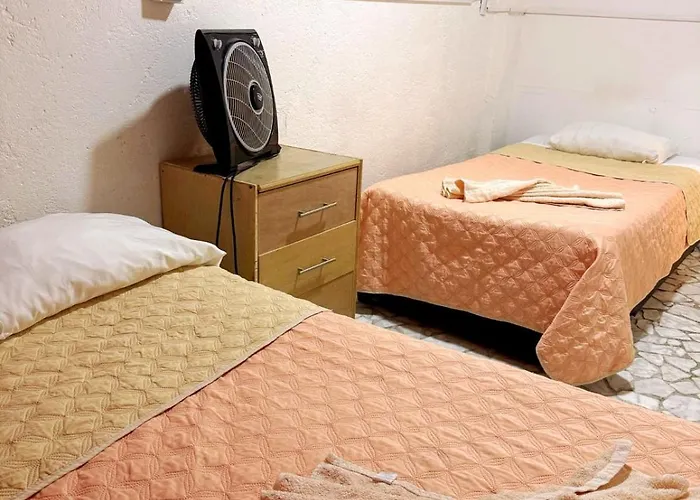 Homestay Casita Del Arbol *